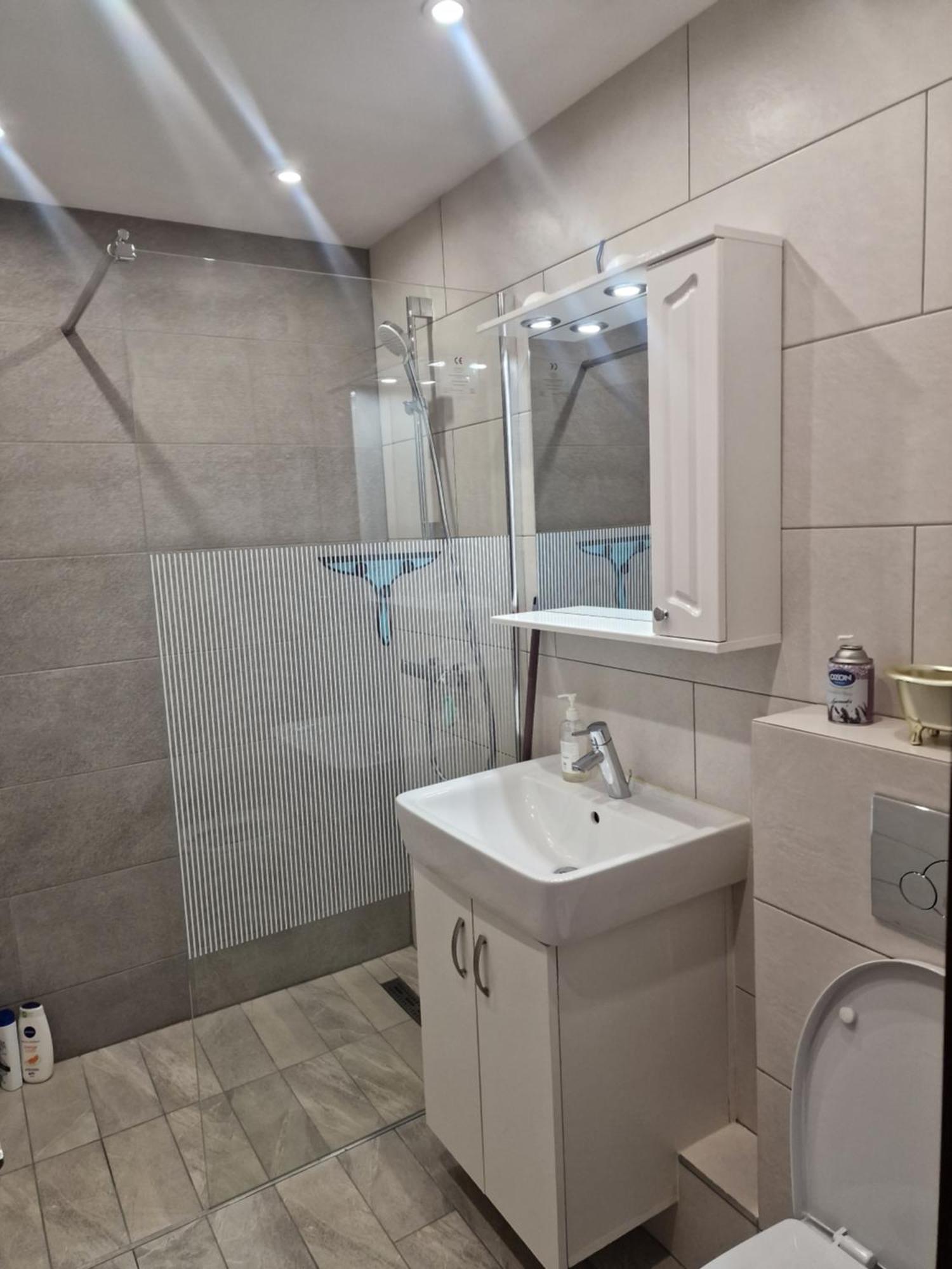 Special Apartment Nadeva Сучава Екстер'єр фото